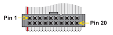 20-Way
